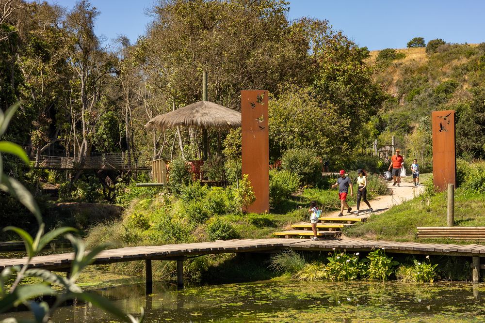 Pasarela de madera sobre la laguna del Parque Tricao